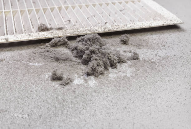 Best Ventilation Cleaning Services  in Osprey, FL