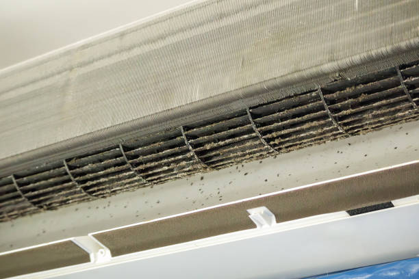 Best Professional Duct Cleaning Services  in Osprey, FL