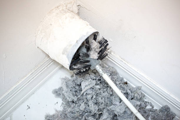 Best Air Duct Cleaning Near Me  in Osprey, FL